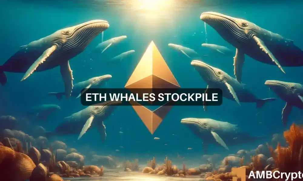 Las ballenas Ethereum se sumergen en ETH a $3.7k: ¿Deberías unirte?