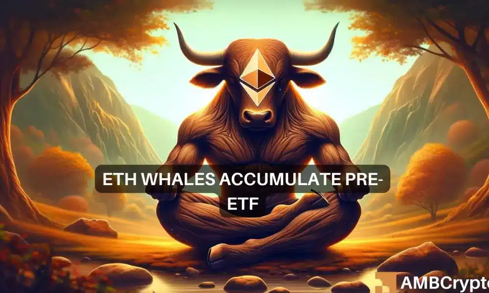 ¿Qué hay detrás del mercado alcista de Ethereum?  Ballenas, aprobación de ETF y…