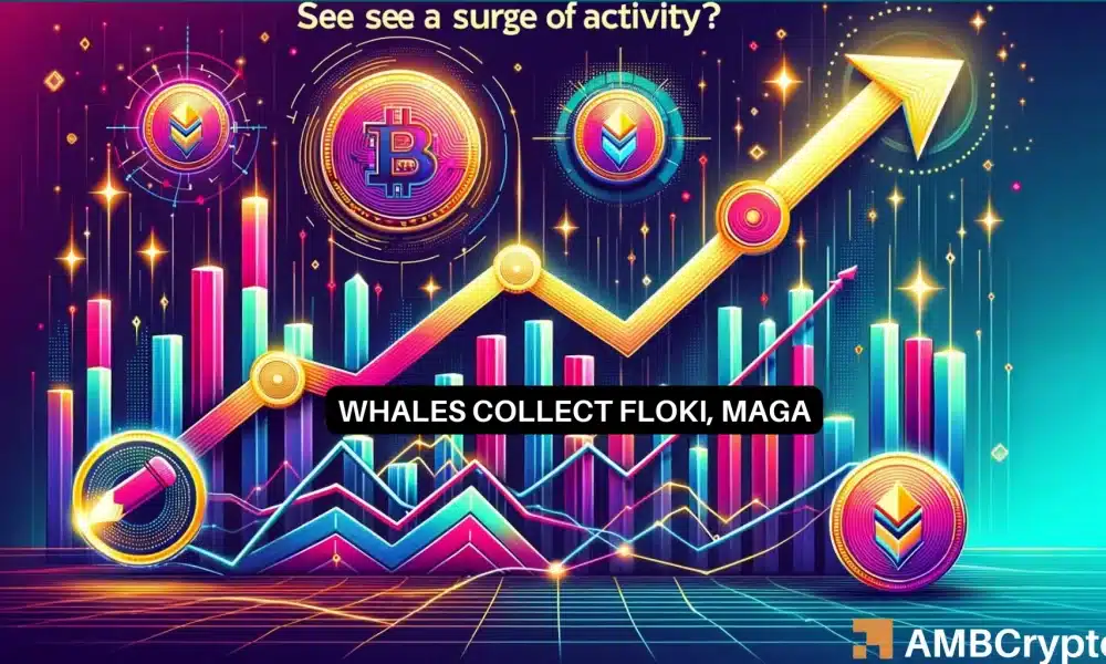 Floki Inu y MAGA relacionados con Donald Trump ven actividad de ballenas: ¿por qué?