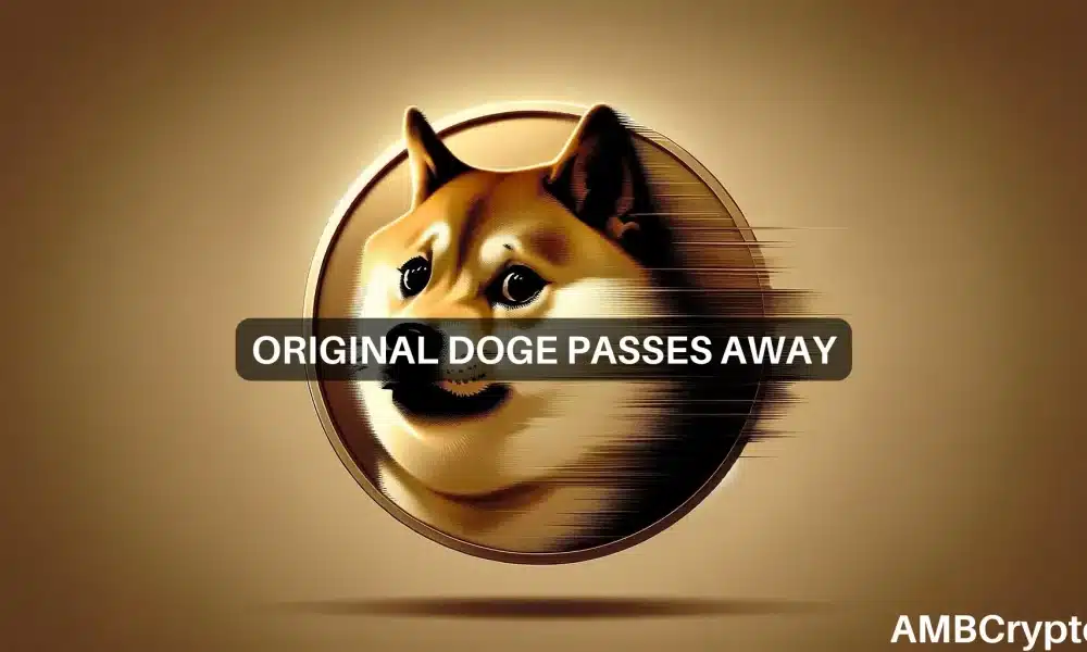 Dogecoin cae mientras la comunidad DOGE se despide de 'Kabosu'