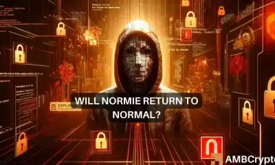 Normie cripto se desploma un 90%: ¿Qué pasó y qué sigue?