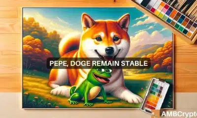 Dogecoin y PEPE registran caídas mínimas en medio de la caída de memecoin: ¿cómo?