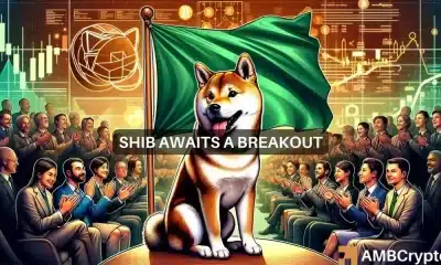 Shiba Inu sube un 10% en 7 días: ¿SHIB aumentará pronto a 0,00003 dólares?