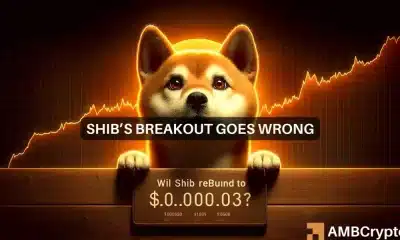 ¿El precio de Shiba Inu vuelve a sus máximos de marzo?  Aquí están los pasos...
