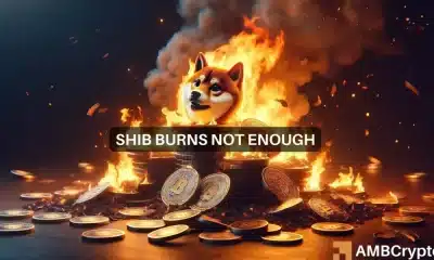 Las enormes quemas de 1.600 millones de Shiba Inu en abril no logran provocar un repunte de precios: ¿por qué?