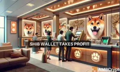 La ballena Shiba Inu mueve 48 mil millones de fichas;  El precio de SHIB reaccionó por…