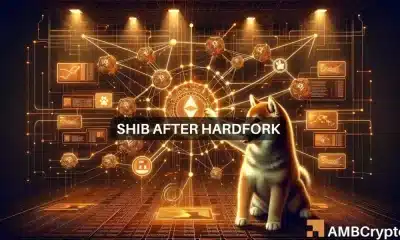 Por qué Shiba Inu sintió poco impacto del hardfork Shibarium
