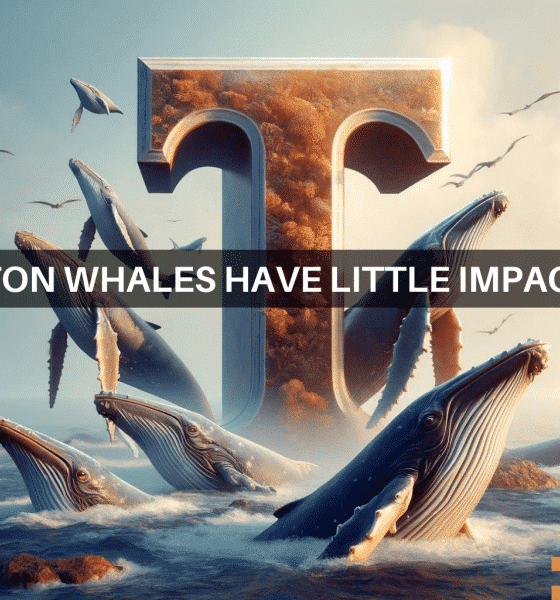 Avistamiento de ballenas: mil millones de dólares en operaciones de Toncoin sacuden el mercado y siguen lo que sigue