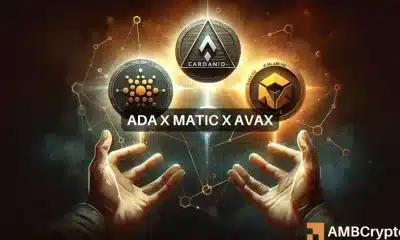 Comprobando el fuerte vínculo de Cardano con AVAX, MATIC: ¿Ganancias por delante?