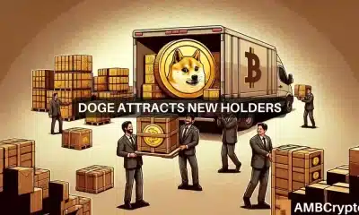Los 'grandes' de Dogecoin están comprando: ¿Deberías hacer lo mismo?
