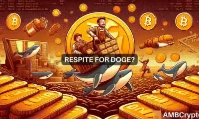 Las ballenas Dogecoin gastan 100 millones de dólares en DOGE: ¿Lo próximo es un mercado alcista?