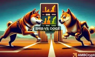 SHIB vence a DOGE en 24 horas: ¿Es este el comienzo de un nuevo amanecer?