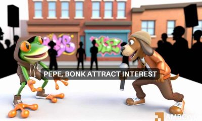 PEPE vs BONK: ¿Qué memecoin lidera la carga?