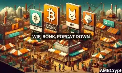 ¿Caos en Memecoin?  WIF, BONK y POPCAT de Solana experimentan fuertes caídas