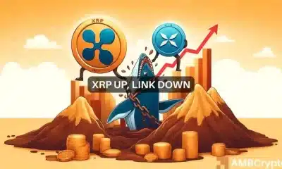 Las ballenas XRP y LINK cambian de bando: ¿Qué está pasando?