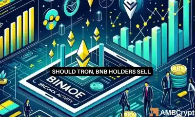 La actividad de la red mantiene a BNB Chain y Tron en la cima de las listas de rendimiento