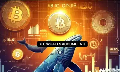 Bitcoin: Grandes inversores en movimiento – ¿Qué le depara el futuro a BTC?