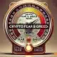 El índice Crypto Fear and Greed muestra "codicia", pero ¿es diferente la realidad sobre el terreno?