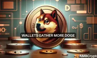 Dogecoin: ¿Puede la acumulación de ballenas compensar la caída del precio de DOGE?