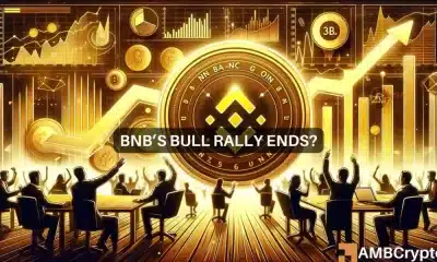 Todo sobre la semana récord de BNB: ¿hay 900 dólares en el horizonte?