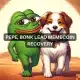 Pepe y Bonk lideran la recuperación de memecoin en medio de una caída más amplia del mercado