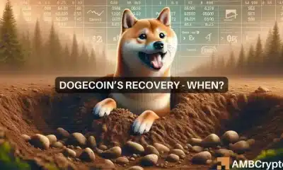 Recuperación del precio de Dogecoin: identificación de las probabilidades reales de que eso suceda