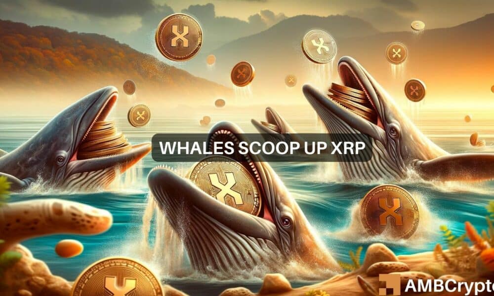 La pregunta de 299 millones de dólares de XRP: ¿Las ballenas están apostando mucho en un repunte?
