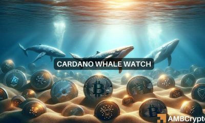 Cardano apunta a un hito de $ 0,50 mientras las ballenas respaldan la ADA