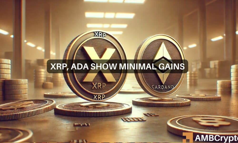 ¿Por qué seguir con XRP? Es posible que Cardano no dé sus frutos