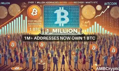 Bitcoin: más de 1 millón de direcciones ahora tienen 1 BTC mientras el mercado prevé la recuperación