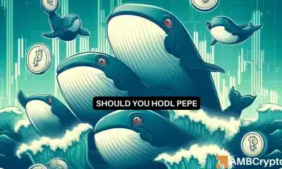 Las ballenas PEPE compran la salsa, pero ¿es eso suficiente para la memecoin?