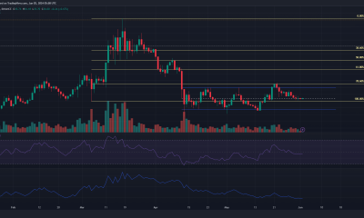 Avalancha TradingView de 1 día