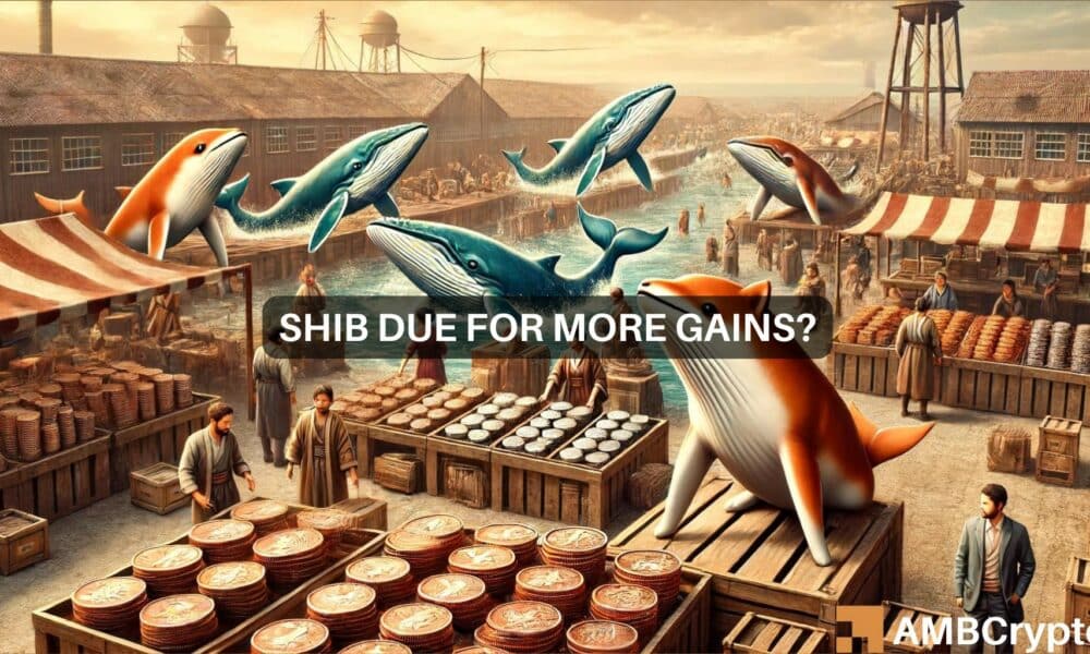 Shiba Inu: Lo que la reducción de las explotaciones de ballenas revela sobre el futuro de SHIB