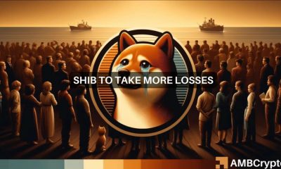 Shiba Inu [SHIB] Caída del 10% en 7 días, explicado