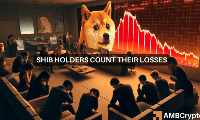 Shiba Inu: Más de 800.000 titulares de SHIB están perdidos. ¿Eres tú uno de ellos?