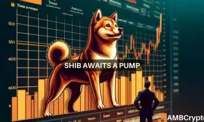 ¿Shiba Inu está listo para regresar?  Observe el nivel crítico de $0,000024