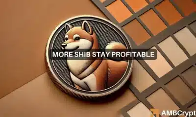 Casi la mitad de los poseedores de Shiba Inu enfrentan pérdidas: ¿Qué sigue para SHIB?