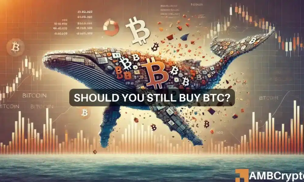 ¿Es hora de comprar Bitcoin después de que las ballenas pierdan sus posiciones?