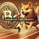 Bitcoin vs Dogecoin: ¿Qué criptomoneda ofrece mejores rendimientos en 2024?