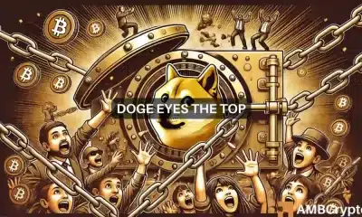 Los HODLers de Dogecoin se mantienen firmes: lo que esto nos dice sobre el futuro de DOGE