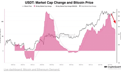 Mientras Bitcoin apunta a 100.000, ¿qué pasa con el revuelo de la 'mega temporada alternativa'?