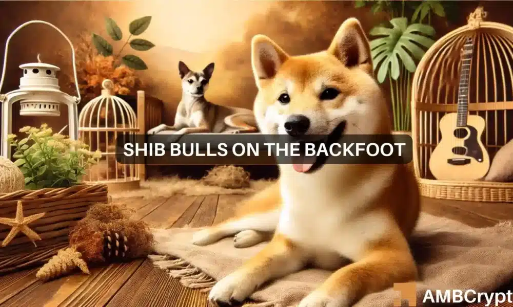 Predicción del precio de Shiba Inu: cómo los comerciantes de SHIB pueden obtener ganancias pronto