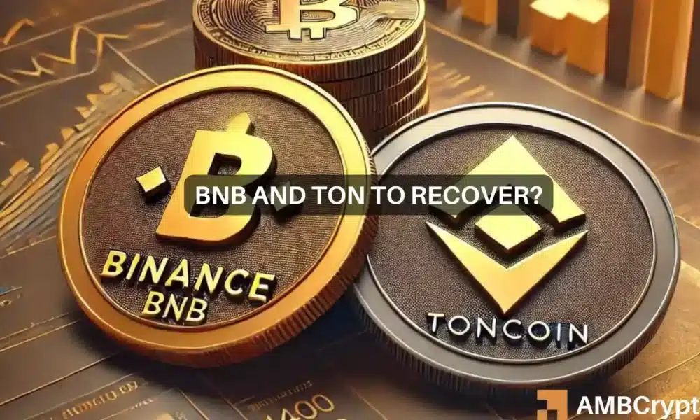 Binance y Toncoin pierden ganancias: un comienzo de semana difícil para las principales criptomonedas