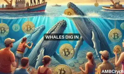 Bitcoin: un analista revela zonas de compra clave mientras las ballenas acumulan 358.000 BTC