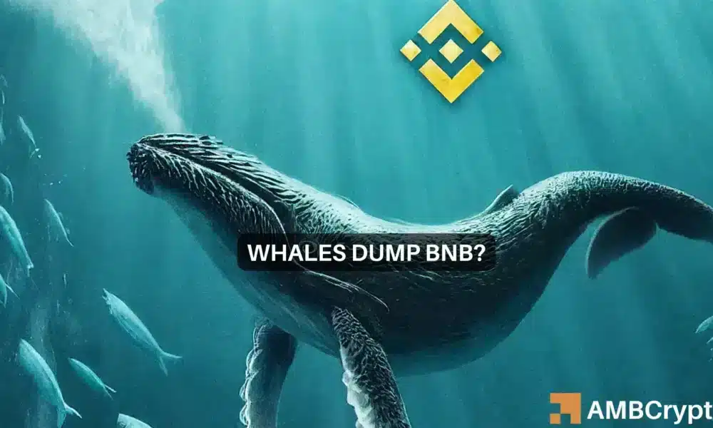 La ballena de Binance derriba aún más la altcoin: ¿se recuperará alguna vez BNB?