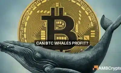 Las ballenas de Bitcoin “compran la caída” para dejar fuera a los inversores minoristas…