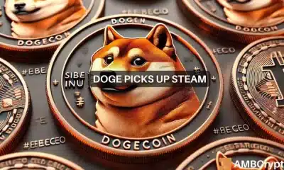 Dogecoin: cómo su MVRV puede haber salvado su acción de precio a corto plazo