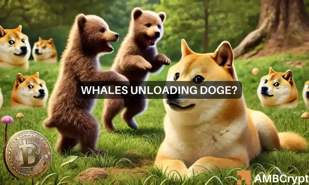 Observación del mercado de Dogecoin: ¿Es posible un repunte en medio de la venta de ballenas?