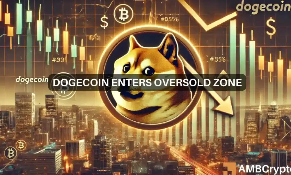 Elon Musk dice que tiene la intención de apoyar personalmente a Dogecoin, mientras DOGE cae un 15%