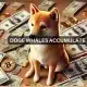 Apuestas en Dogecoin: ¿Por qué DOGE es la favorita de las ballenas este mes?